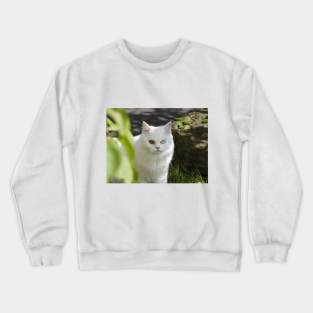 white cat Crewneck Sweatshirt